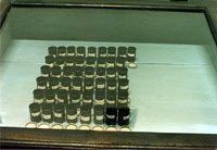 A view of the exhibition, "Essig Salz und Käse", ArToll Labor e.V., Bedburg-Hau, Germany, 1999