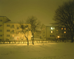 "juste à côté de chez moi, Altweg, Zürich, 19e décembre 2001"